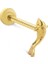 Small Balık Tragus 1