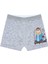 Erkek Çocuk Boxer 3'lü Baskılı (%96 Pamuk - %4 Elastan) 4