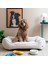 CornerBed Vanilla Cream Ortopedik Kedi Ve Köpek Yatağı 1