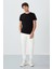 Calvin Siyah Basic Erkek T-Shirt - 88245 2