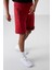 Albie Kırmızı Standart Kalıp Erkek Şort - 81241 3