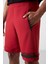 Albie Kırmızı Standart Kalıp Erkek Şort - 81241 4