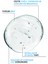 5D Hyaluronic Acid Hydro Light Nemlendirici Krem 50 ml 4