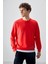 Fiesta Pamuk Yumuşak Dokulu Standart Fit Basic Erkek Sweatshirt - 88363 2