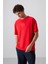 Fiesta Pamuklu Kalın Yumuşak Dokulu Oversize Fit Baskılı Erkek T-Shirt - 88333 1