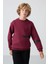 Erguvan Pamuklu Kalın İçi Tüylü Yumuşak Dokulu Standart Fit Baskılı Erkek Çocuk Sweatshirt - 11238 1