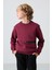 Erguvan Pamuklu Kalın İçi Tüylü Yumuşak Dokulu Standart Fit Baskılı Erkek Çocuk Sweatshirt - 11238 4