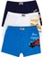 Erkek Çocuk Boxer 3'lü Baskılı (%96 Pamuk - %4 Elastan) 1