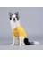 Flex Little Bit of Sunshine Küçük ve Orta Irk Köpek Tshirt Beden 1 2