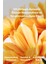 7 Days Mask Calendula P - Besleyici, Nemlendirici & Onarıcı Vegan Kağıt Maske 4