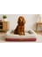 Coch Box Üst Kalite Köpek Yatağı Süngerli Sıvı Geçirmez Alezli. %100 Elyaflı. 2 Fermuarlı 1