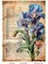 Irıs Serisi Irıs8 Iris, Zambak, Çiçek Desenli 30*42 cm Pirinç Dekopaj 1