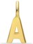 Harf Charm 1