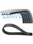 Kanalli Kayiş Citron Xm 2.0t Fiat Punto 1.2 60 8V 99 1.2 80 16V 99-06 Peugeot 605 2.0 Honda Gnzrz 1