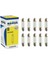 12V 93 Dipsiz 21W Ampul 2 Adet 1