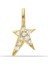 Swarovski Ex Yıldız Charm 1