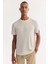 Erkek Ekru Bisiklet Yaka Soft Touch Bi-Stretch Baskılı Regular Fit T-Shirt A52Y1022 2