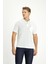 Cepli Polo Yaka Regular Fit Nakışlı Pamuk Tişört 1