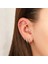 Dog Tragus Piercing 1