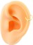 Yılan Motifli Helix Piercing 1