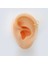 Başak Burcu Halka Helix Piercing 1