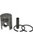 Ilaçlama Piston Segman Kaseı 3WZ6/TL23 31MM 1