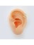 Terazi Burcu Halka Helix Piercing 1