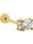 Dina Tragus Piercing 1