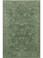 Shiraz SHR02 Green Vintage Desenli Sıcak Renk Tonlarına Sahip Yumuşak Tuşeli Makine Halısı 1