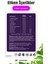 MindStrike | Cognizin® Sitikolin İçerikli | B1, B6 ve B12 Vitaminli Takviye | 40 Kapsül | 20 Günlük 4