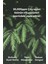 7 Days Mask Tea Tree M - Çay Ağacı Özlü Akne Karşıtı Arındırıcı Vegan Kağıt Maske 4