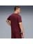 Erkek Kırmızı Puma Tad Tech Triblend Tee Kırmızı Erkek T-Shirt 2