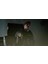 Resident Evil 4 Gold Edition Ps4 Oyunu 3