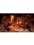 Elden Ring Nightreign Seekers Edıtıon 4