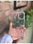 Samsung Galaxy A06 Uyumlu Fiyonk ve Incili Kaliteli Şeffaf Kılıf - Kırılmaz Cam Hediyeli 3