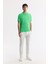 Erkek Yeşil Kıvrılmaz Polo Yaka %100 Pamuk Basic Regular Fit T-Shirt B001032 5