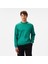 Erkek Yeşil Regular Fit Sweatshirt 1