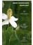 7 Days Mask Heartleaf P - Yatıştırıcı & Nemlendirici Kalp Yaprağı Özlü Vegan Kağıt Maske 4