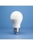 12V (Volt) 10W Beyaz LED Ampul – Karavan, Tekne, Araç İçi ve Kamp Aydınlatması İçin Uyumlu LED Lamba 4