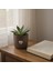 Dekoratif Beton Saksı Silindir Modern Kahve Kalp Tema 13X13 cm 1