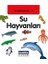 Çamlıca Çocuk Ilk Kelimelerim 7-Su Hayvanları 1