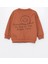 Lcw Kids Kahverengi Bisiklet Yaka Erkek Bebek Sweatshirt ve Eşofman Alt 2'li 3