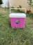 25 Litre Oto Termos - Pembe 2