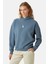 Flamingo Supersoft Hoodie - Flint Mavi 4