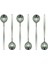 Gümüş Tatlı Sunum Kaşığı Seti, Kahvaltı Kaşık Seti Kutulu, Paslanmaz Çelik, 6 Adet, 18 cm 2