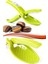 J34YT1909 Kestane Çizici Chesnut Cutter 1