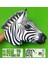 Zebra El Kuklası, Mentosori Kes Yapıştır Kuşe Kukla 5
