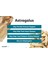 Astragalus Root 1,410 mg Traditional Im Mune Support 180 Vegan Capsules 4