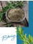 Biberiye Çayı (Rosemary Tea) 100 gr. 2