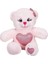 1512 Renkli Peluş Ayı 26 cm 5
